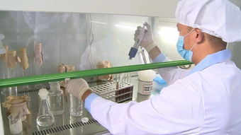 通城縣質檢中心 精準檢測，為企護航，把好產品質量與室內環境安全關