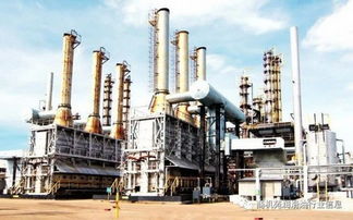 加德勒 心馳天地間,縱情阿拉善